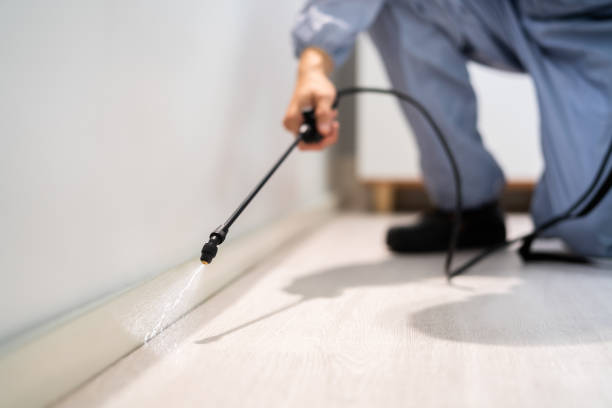 Licensed Pest Control service in East Uniontown, PA - Show Me Pest Control