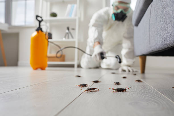 Post-Treatment Bed Bug Interceptor Monitoring in East Uniontown