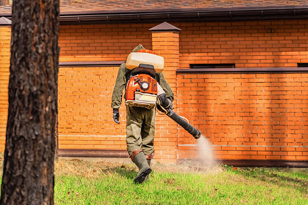 Bed Bug Clearance Verification and Documentation in East Uniontown